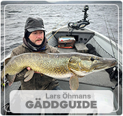 Lars Öhmans Gäddguide