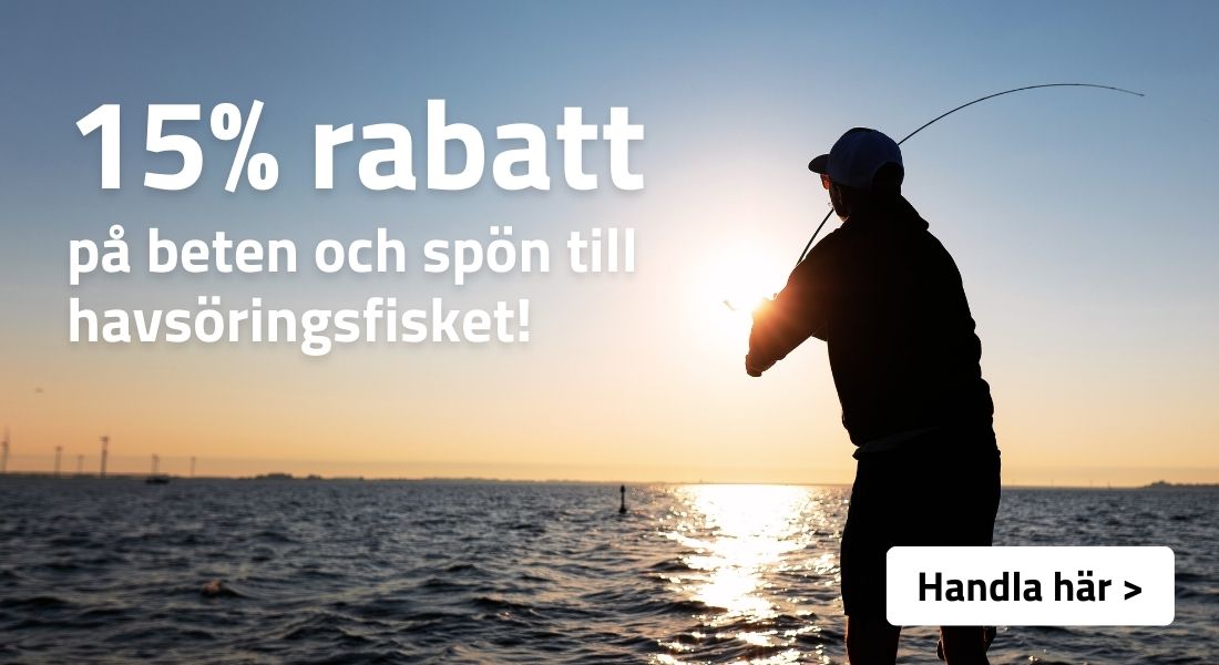 Havsöring