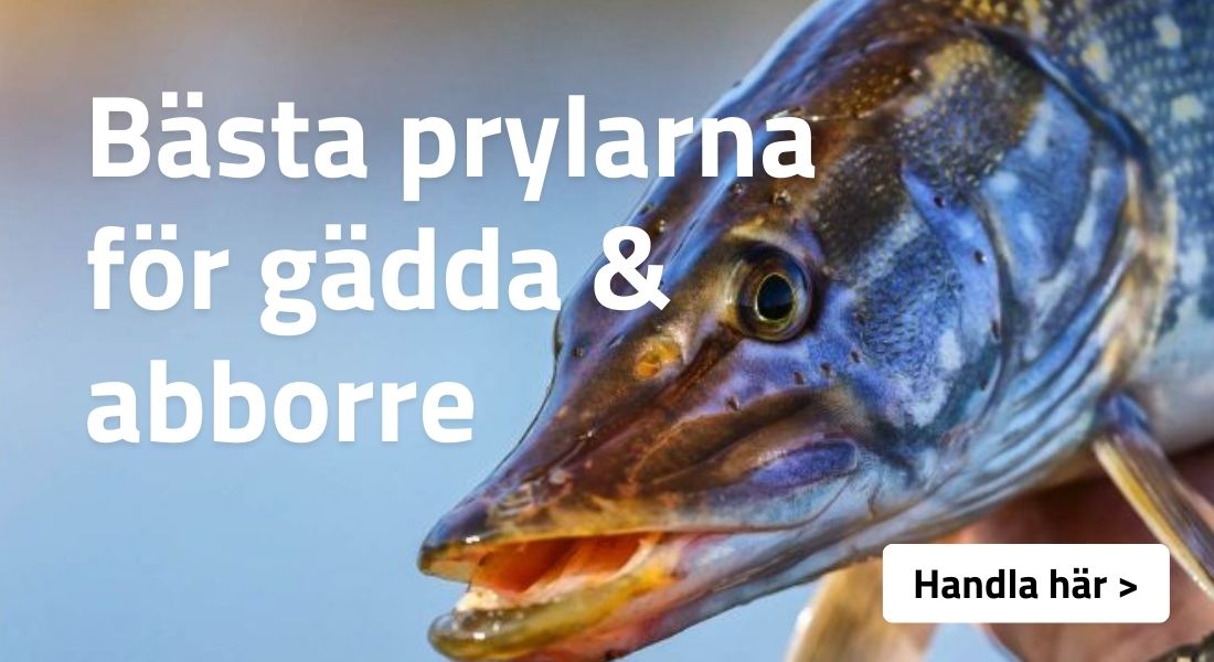 Gäddfiske och Abborrfiske