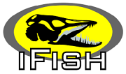 IFish