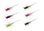 13 Fishing Bearnie 6-pack 4,3cm