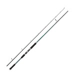 Abu Garcia Beast X Pike 8'4'' 30-110g Haspelspö