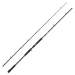 Abu Garcia BEAST X2 8ft 40-110g Spinnspö