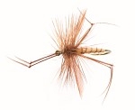 Daddy Long legs Tan/Brown TMC 2302 # 12