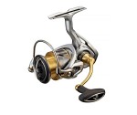 Daiwa 21 Freams LT 3000D C Haspelrulle