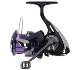 Daiwa 24 Prorex X LT 2000 Haspelrulle