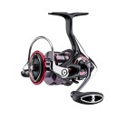 Daiwa 20 Fuego LT 4000C Haspelrulle