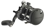 Daiwa Saltist LW30H-C Högervev