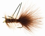 Dog Nobbler Brown/Orange Kamasan B170 #4