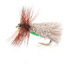 Goddard's Caddis - Daiichi 1180 # 12