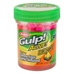 Gulp Alive Salmon Eggs Garlic Sherbert Blast