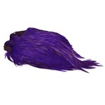 Indisk tuppnacke - Purple