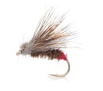 Redtag Caddis - Daiichi 1180 # 12