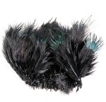 Ringneck Rump Hackle - Black