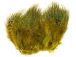 Ringneck Rump Hackle - Golden Yellow