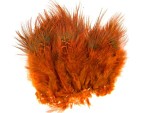 Ringneck Rump Hackle - Orange