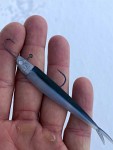 Darts Slimline Icehead 