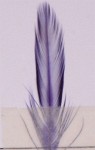 Veniard färg för fjäder och hår - purple