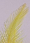 Veniard färg för fjäder och hår - Sunburst Yellow