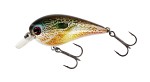 Westin Bassbite Squarebill 2.5 7cm 16g Real Pumpkinseed
