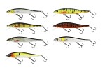 Westin Jerkbite SR Jerkbait 11cm 13,5g