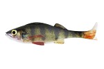 Westin Original Perch Shadtail 15cm 34g