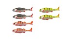 Westin Original Perch Shadtail 7cm 4g 2-pack