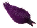 Whiting Coq de Leon tuppnacke - Badger/Purple