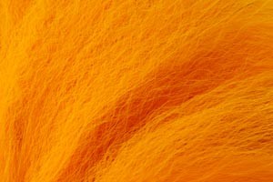 Furmaster Marble Fox, Sunburst