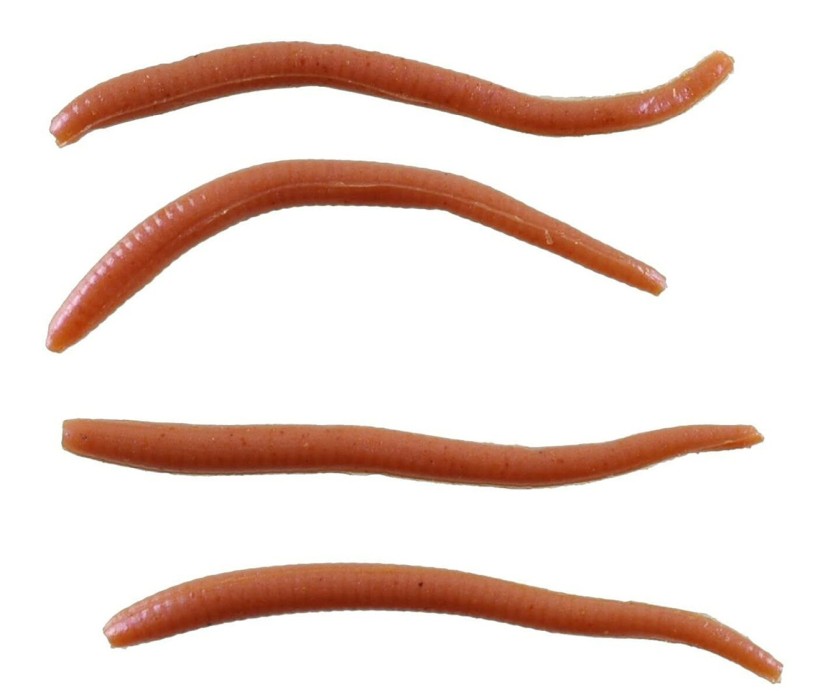 Gulp Alive Earthworms Brown