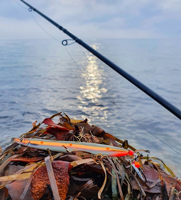 Savage Gear 3D Line Thru Sandeel 12,5cm 19g