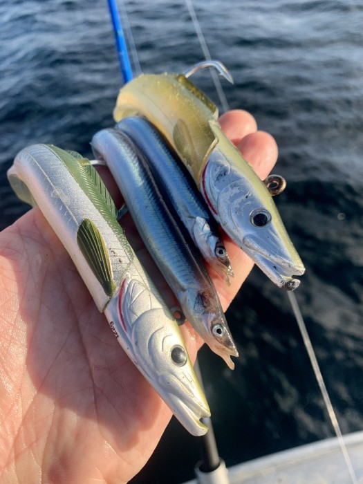 Westin Sandy Andy Jig Spare Head – Teste Di Jig Di Ricambio | Confezione Da 2, Pesi Da 12g A 150g, Profilo Sottile Per Code In Gomma