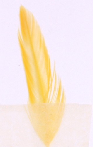 Veniard färg för fjäder och hår - bright yellow