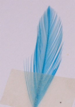 Veniard färg för fjäder och hår - kingfisher blue