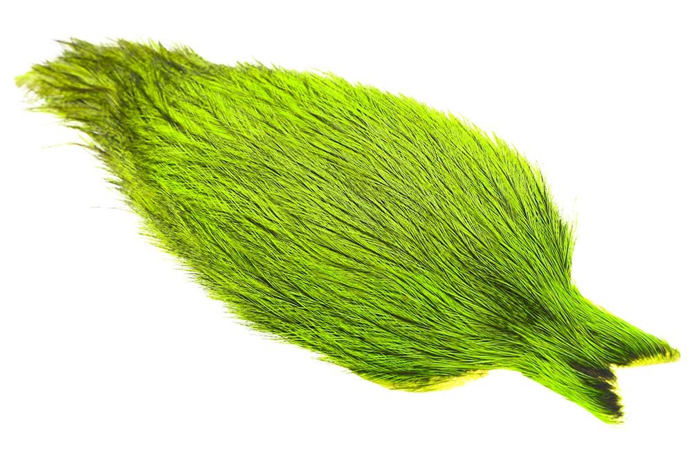 Whiting Coq de Leon tuppnacke - Badger/fluo Green Chartr.